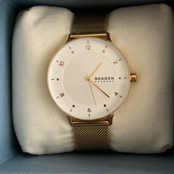 Skagen Watch